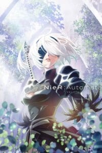 NieRAutomata Ver1.1a